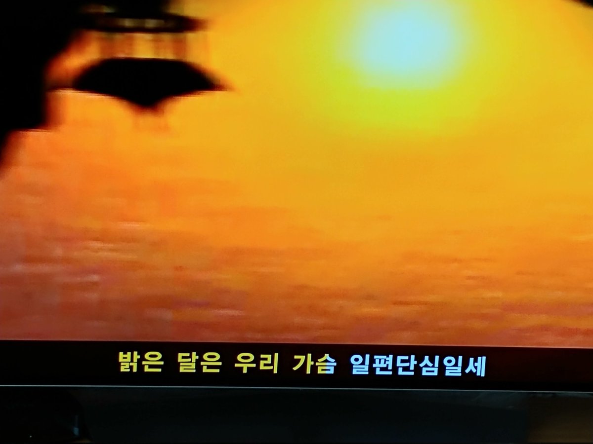 쏘주한병반👹내일부터금주 tweet media