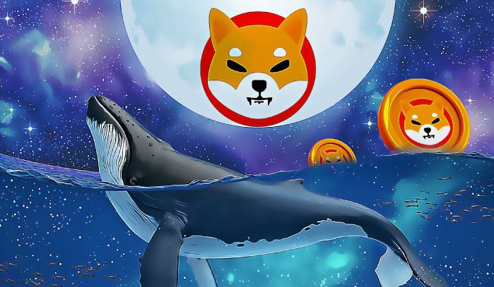 One of the "whales" of #Etherium bought 271 billion #SHIB tokens

It's worth noting that Shiba Inu does attract "whales" of Etherium. Earlier, one major ETH holder bought $1 million worth of SHIB tokens. Earlier this year, another "whale" invested $1.9 million in the meme token.
