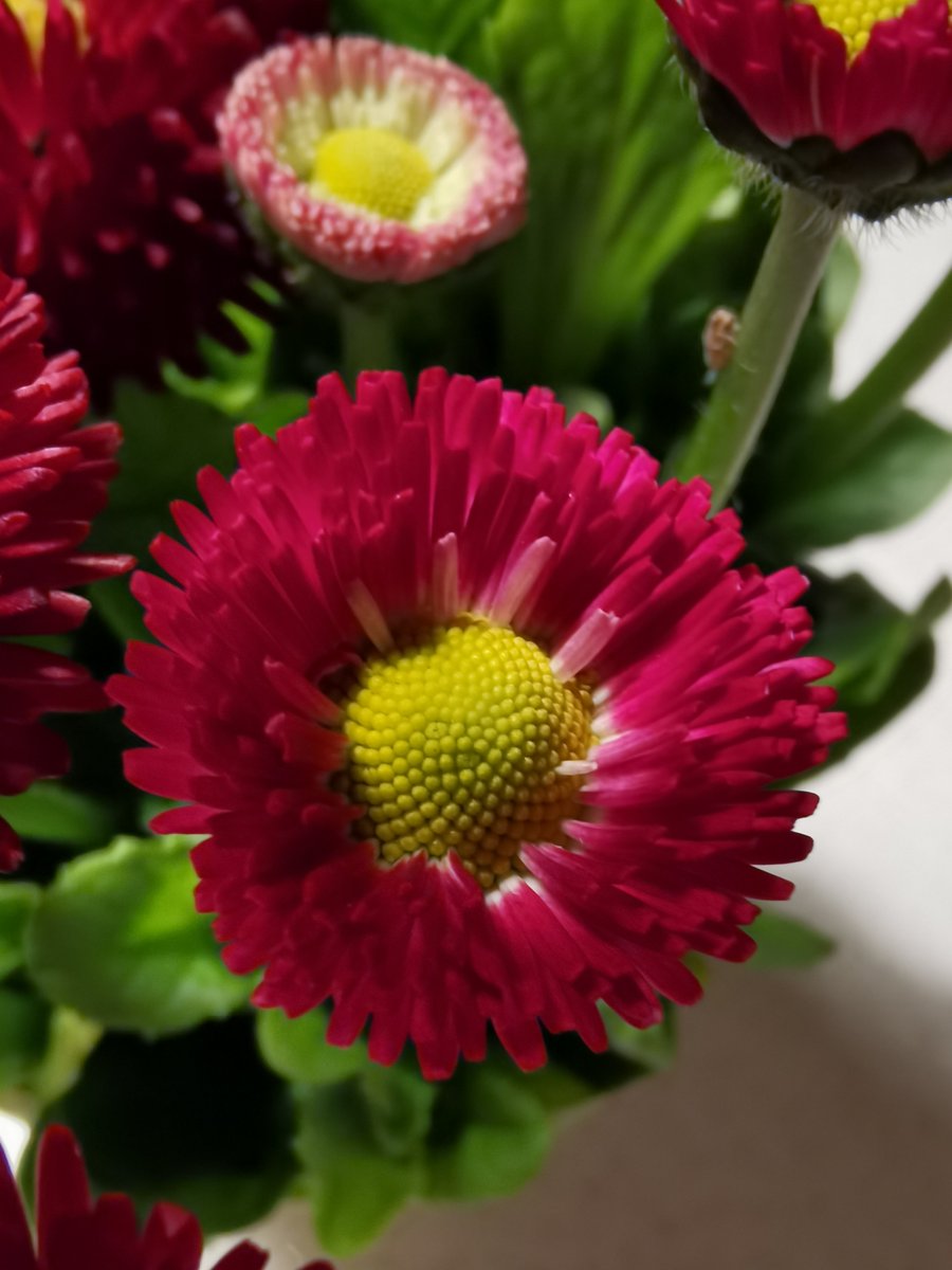 elementhsixth's tweet photo. Willkommen #farbenfroherFrühling #kosmischerKlang https://t.co/t8QjFYdBCD