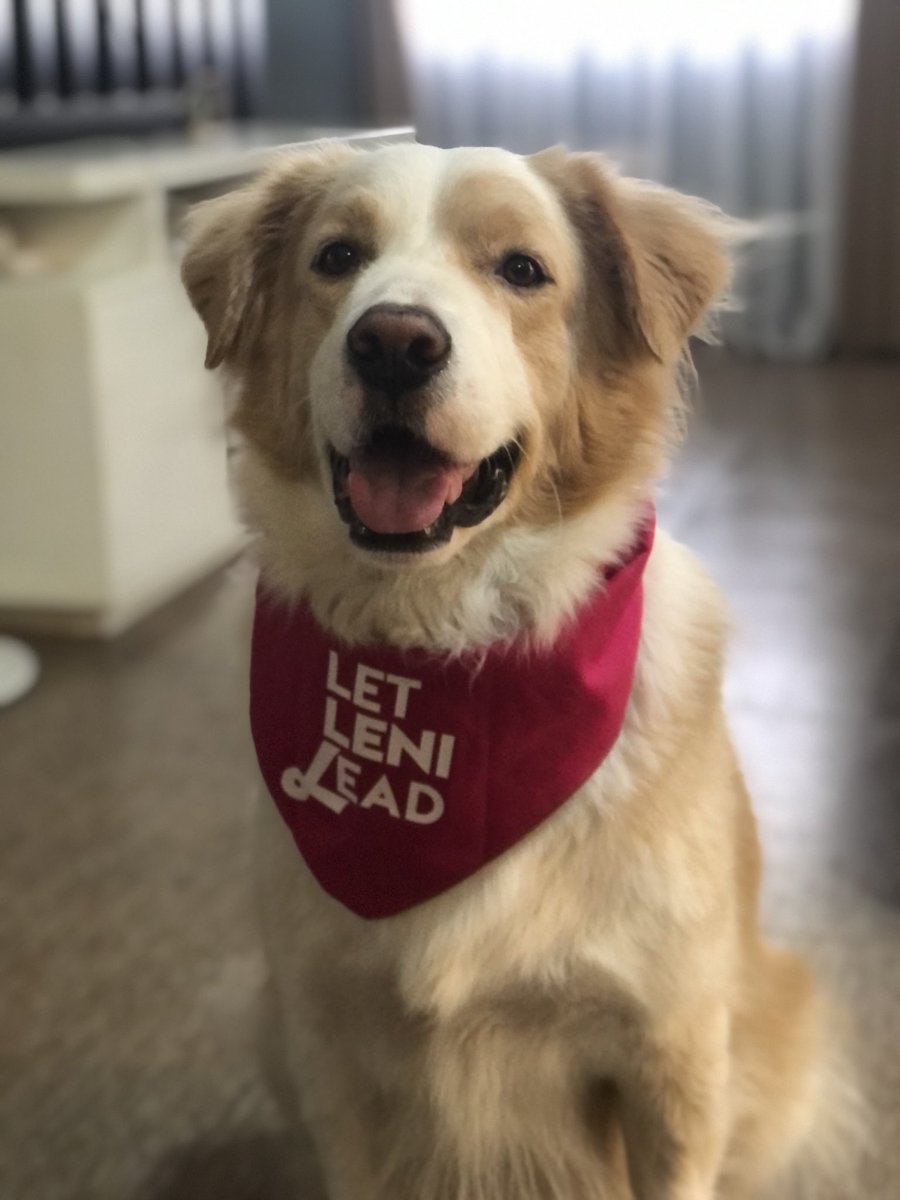 thatkidAnne's tweet image. Sa gobyernong tapat, may dog treats ang lahat! 🌸💖

 #PetsForLeni