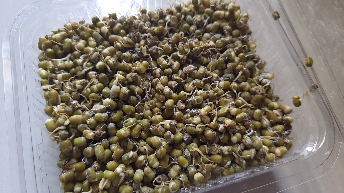 ParagKamble19's tweet photo. @letsblinkit @blinkitcares order ID 160068019 all delivered food is smelling badly and some of them having fungus. I raised request but no response received,. Please take back all the items. https://t.co/OpPnDcbN9V