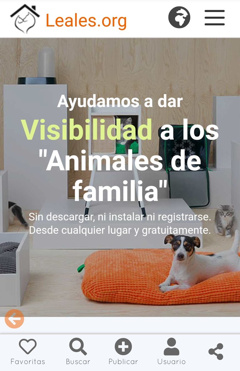 𝕃𝕖𝕒𝕝𝕖𝕤.𝕠𝕣𝕘 • tu guía animable 🐾 tweet media