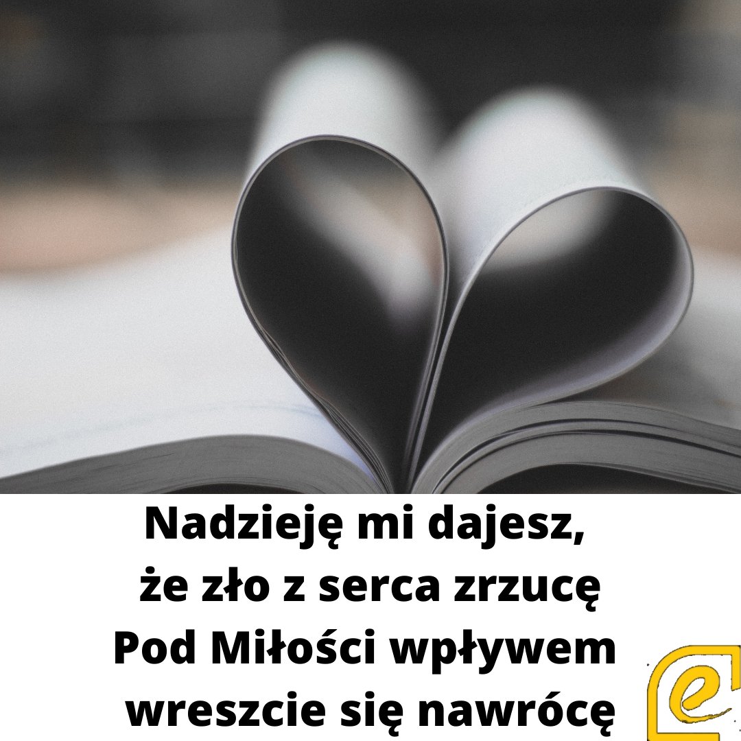 Ekatecheza's tweet photo. Mocno brzmią dziś słowa Ewangelii: "Jeśli się nie nawrócicie, wszyscy tak samo zginiecie". Trzeba nam o tym pamiętać, że nasze serce potrzebuje nawrócenia, by rozumieć Boże sprawy i za Panem podążać. Dobrej niedzieli dla wszystkich! @EpiskopatNews @ArchKrakowska @Gosc_Niedzielny https://t.co/YbeIJSHfbD