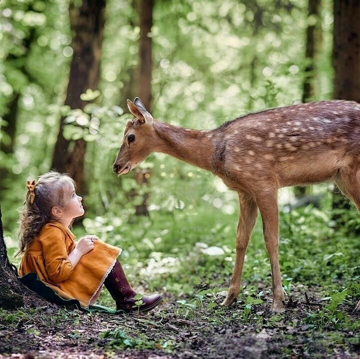 animalesypers69's tweet photo. https://t.co/6KcSvRmE30