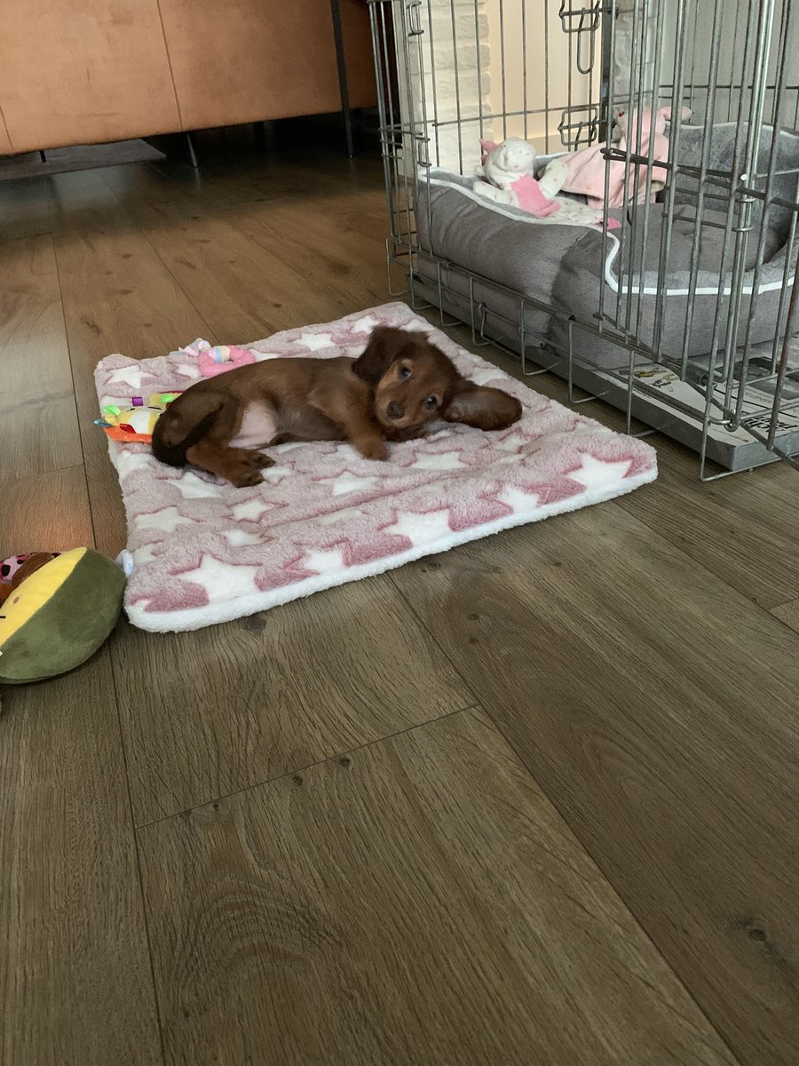 Bart-Jan tweet media