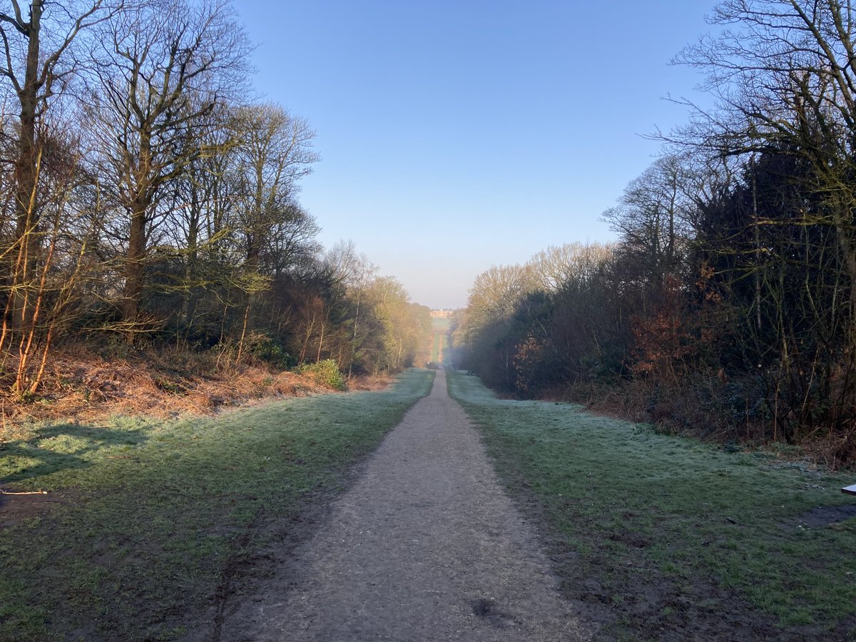 simonc30's tweet image. Good morning one and all 🌞