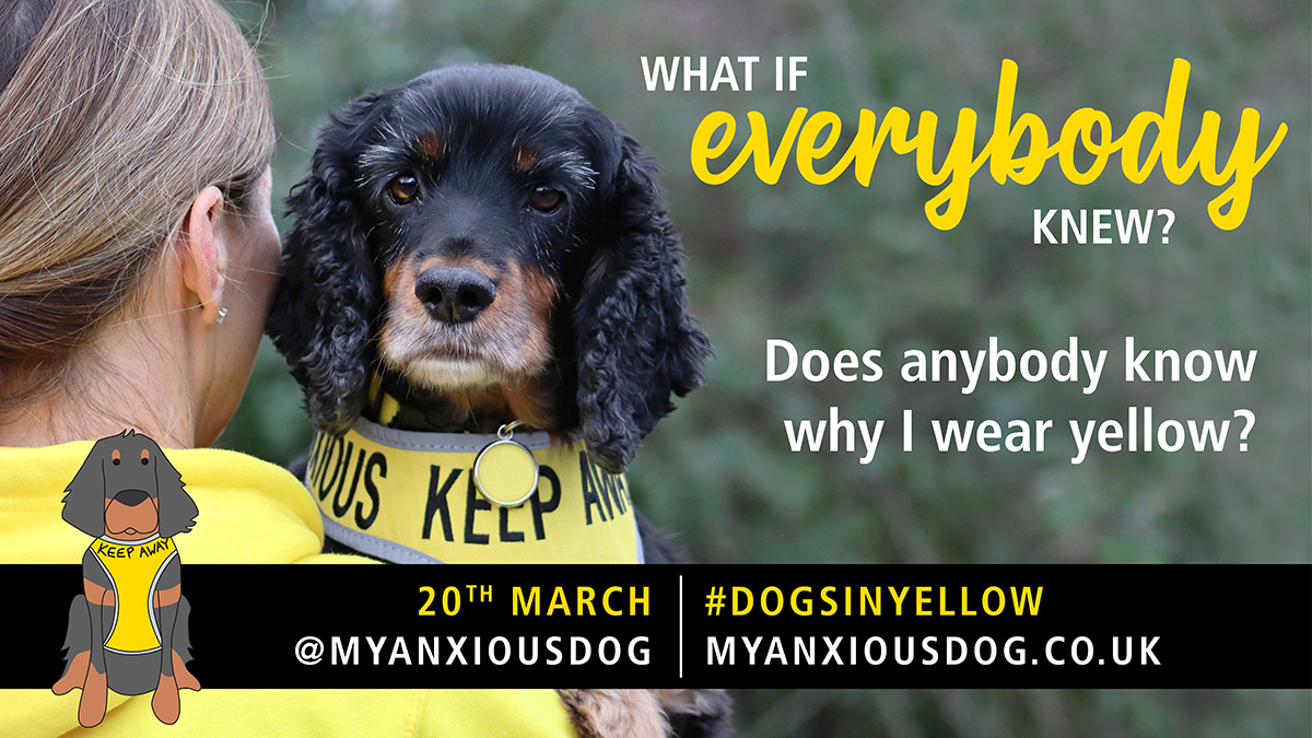 rachelspenceruk's tweet photo. Sarah's message on #DogsInYellow day is 'what if everyone knew?'

Because if everyone knew a dog in yellow needed space, life would be a lot less scary for them, and less stressful for their owners.

Please share the @Myanxiousdog message and help the #YellowArmy https://t.co/az49XHmgXy
