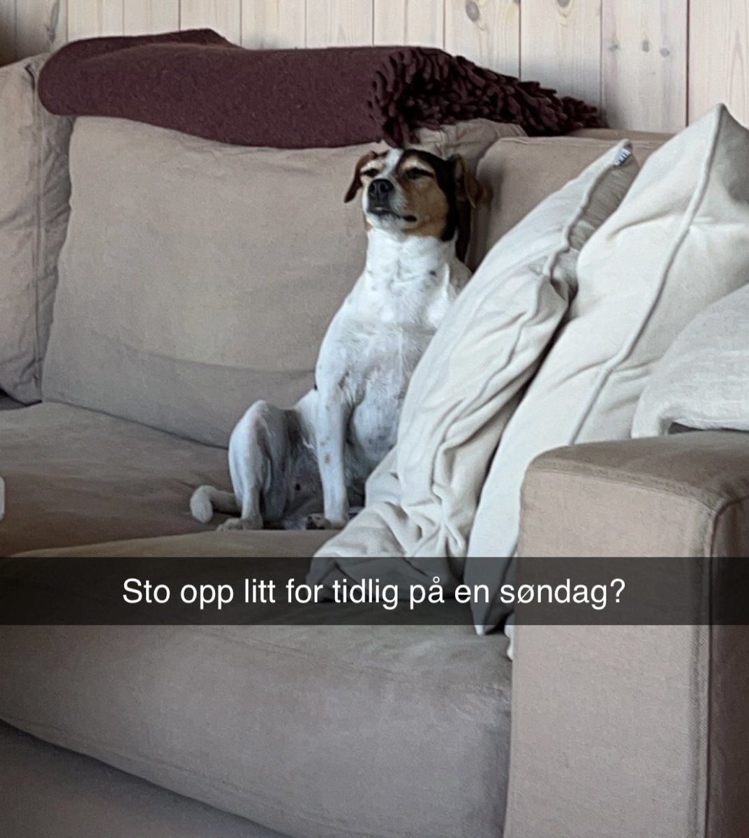 Pippa ønsker god morgen!