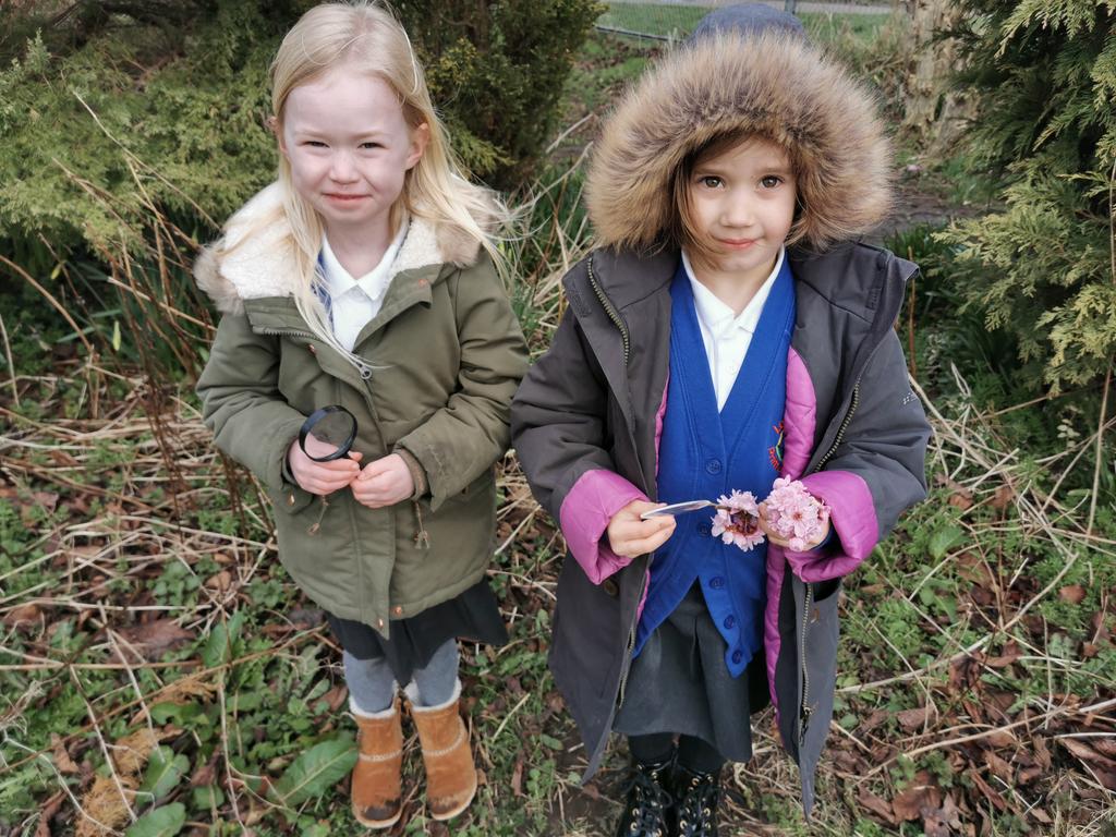 Leuchars Primary School and Nursery tweet media