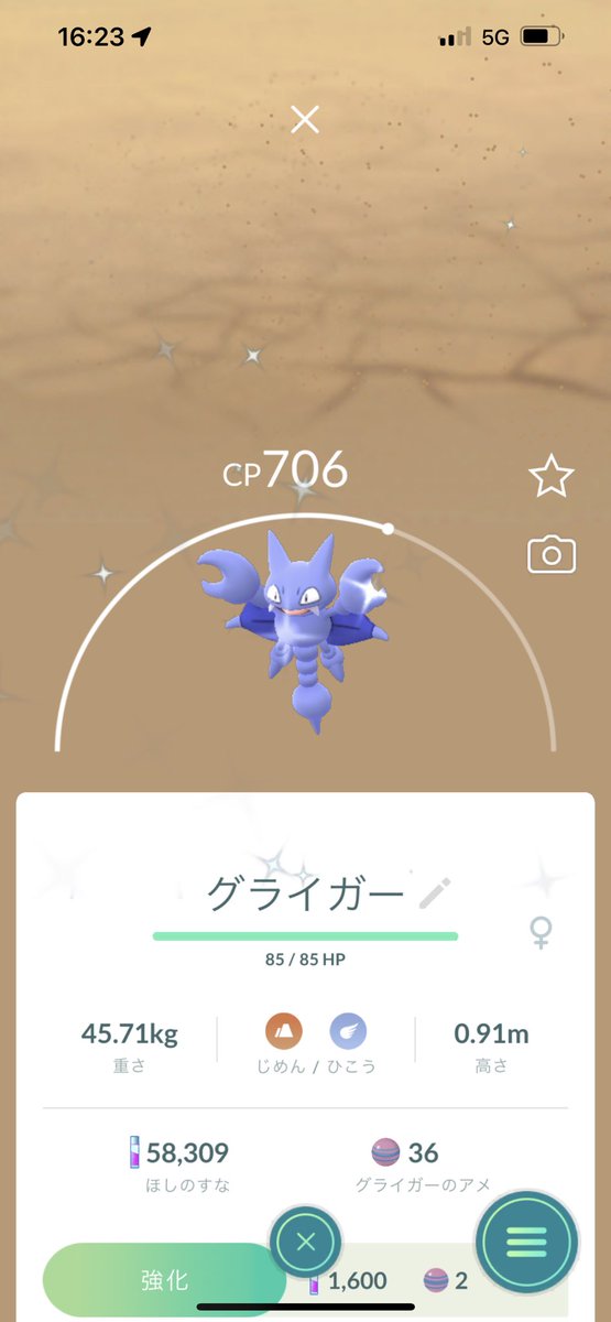 ポケモンgo グライガーの入手方法 能力 技まとめ 攻略大百科