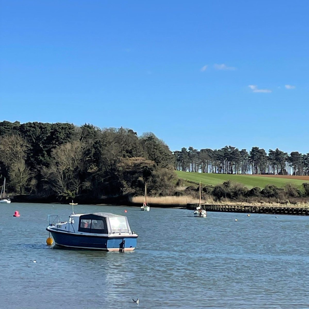 postcardsuffolk's tweet photo. View from one of my favourite benches in #Suffolk this week! If you are looking for a walk to enjoy this beautiful scenery here is a link for you https://t.co/Sc9FBVzeET Have a lovely sunny Sunday! 😀☀️ https://t.co/O3DkHgpoOd