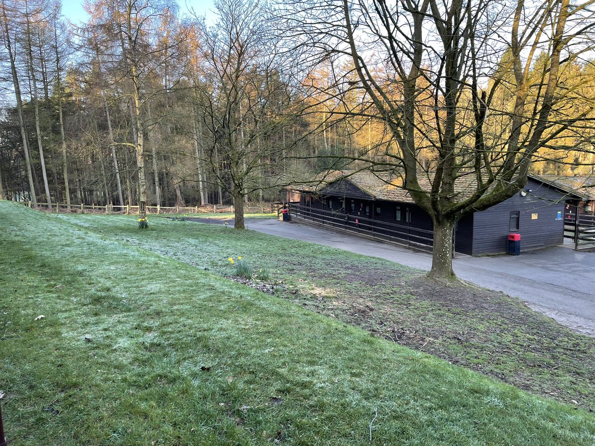 NGHS_PE's tweet image. We have a frosty start to the day at PGL. We are ready for day 2 of the netball weekend.