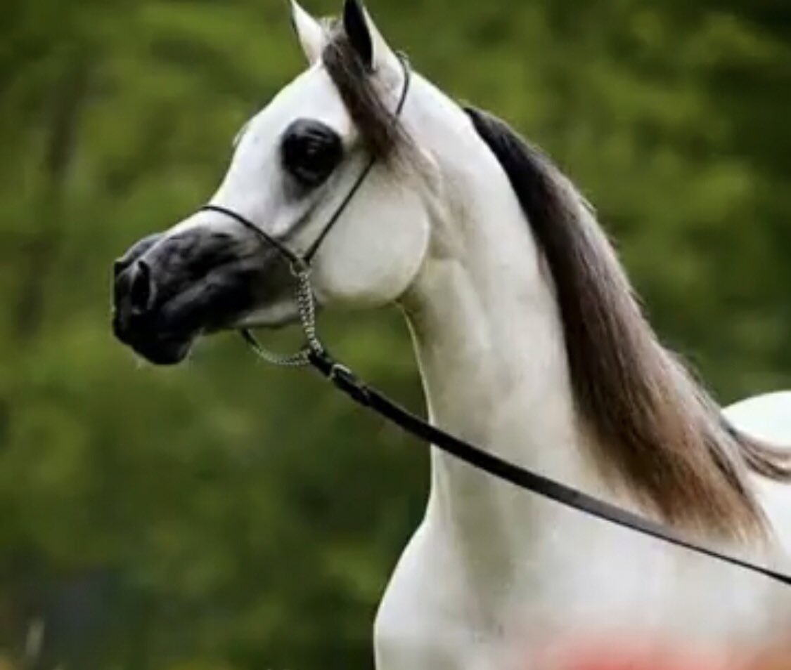 أترك الأشياء تأتي كما أرادها الله لعلها
تأتي  كما  تمناها  قلبك ، اسأل الله أن
يعطينا فيرضينا ويرزقنا فيغنينا  يا رب🍃