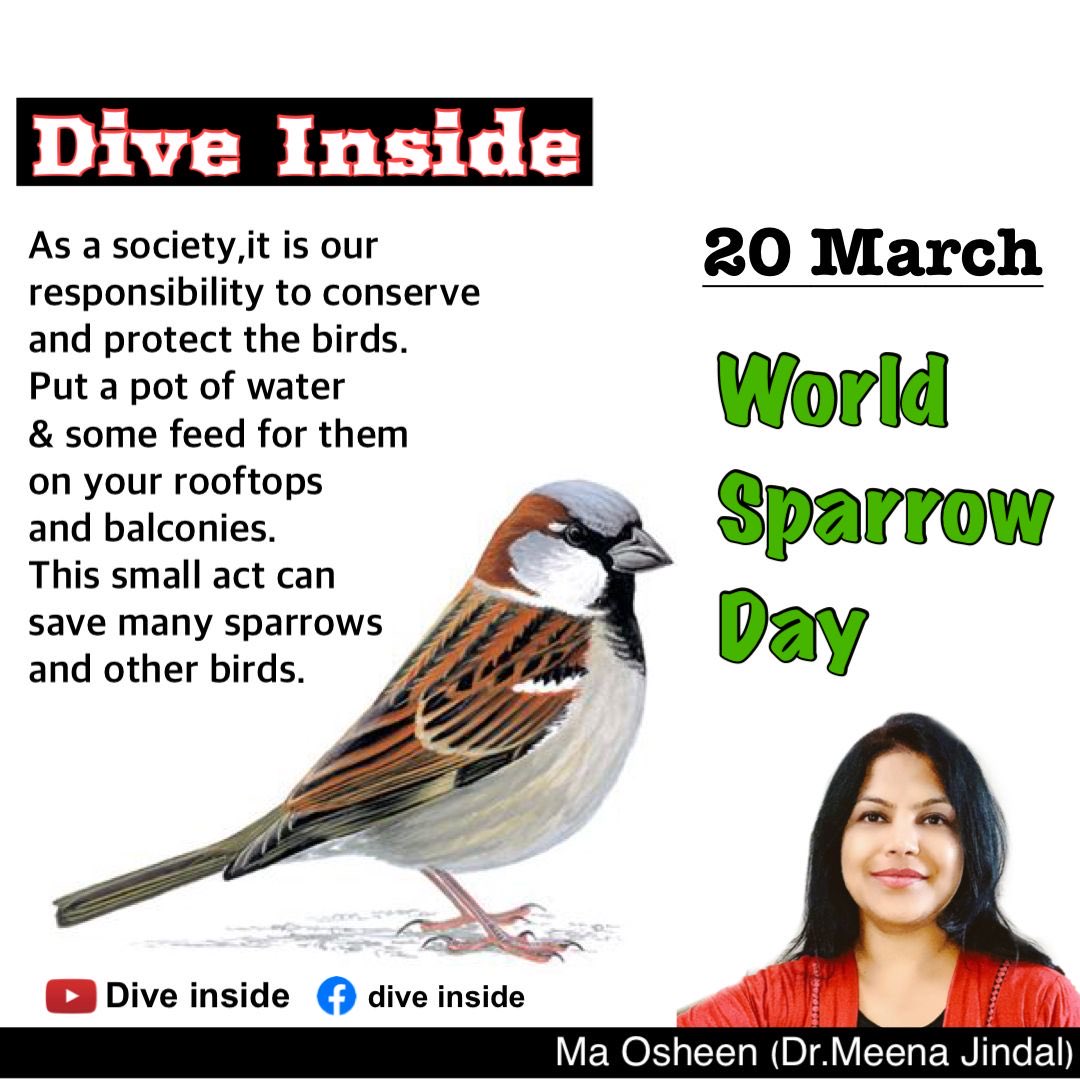 DrMeenaJindal's tweet photo. As a society it is our
responsibility to conserve
and protect the birds.
Put a pot of water
&amp; some feed for them
on your rooftops
and balconies.
This small act can
save many sparrows
and other birds.

#WorldSparrowDay #nature #sparrow #maosheen #diveinside #drmeenajindal https://t.co/mJ05QImn46