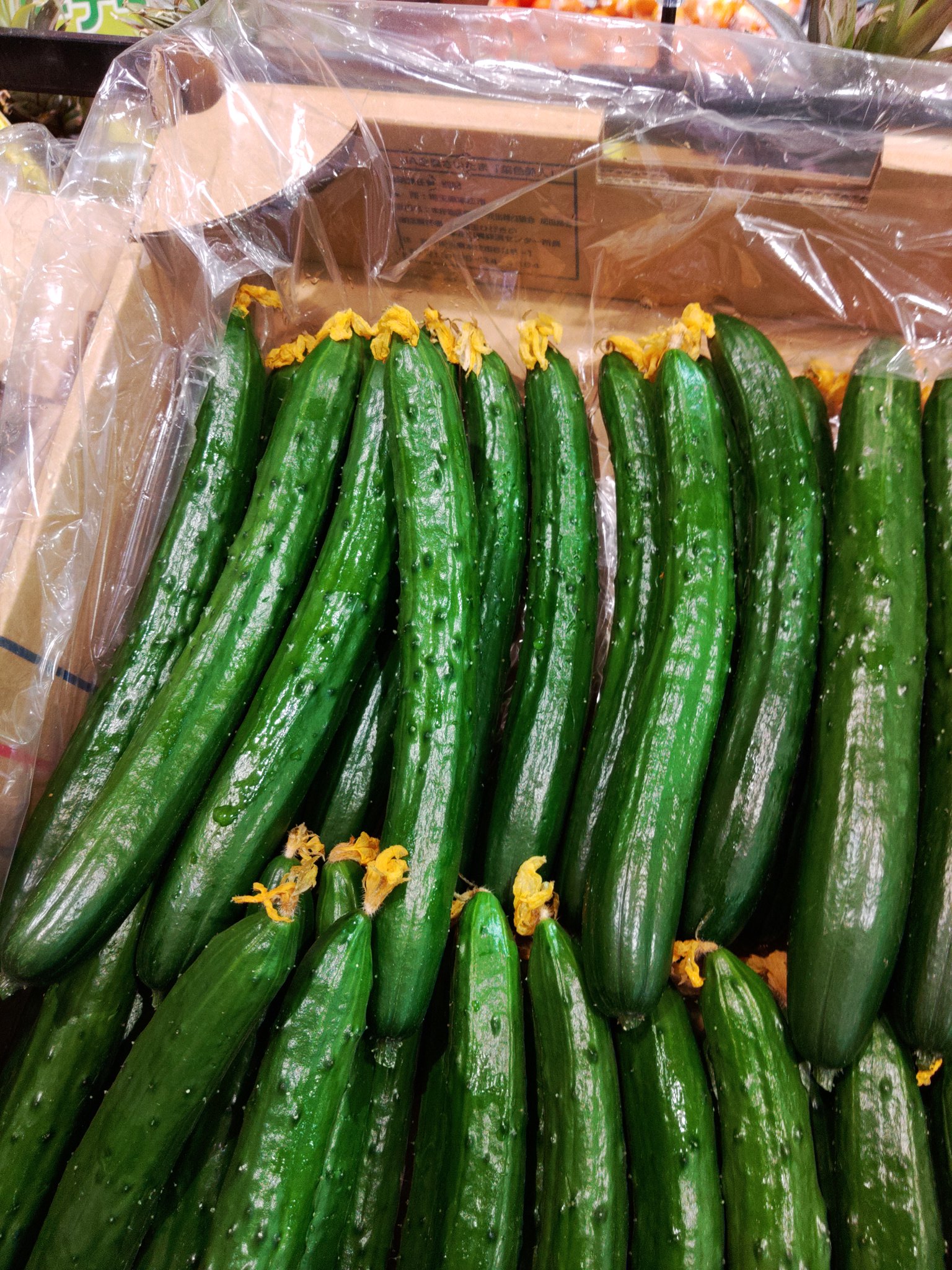 宮本毅 一緒に中学受験を成功させよう スーパーに来たら 花がついたままのきゅうりをみかけました ウリ科のへちまなどと似た 合弁花 と呼ばれる 花びら５枚がくっついた花 です 親子で一緒にスーパーに買い物にいくだけでも 理科の勉強になったり