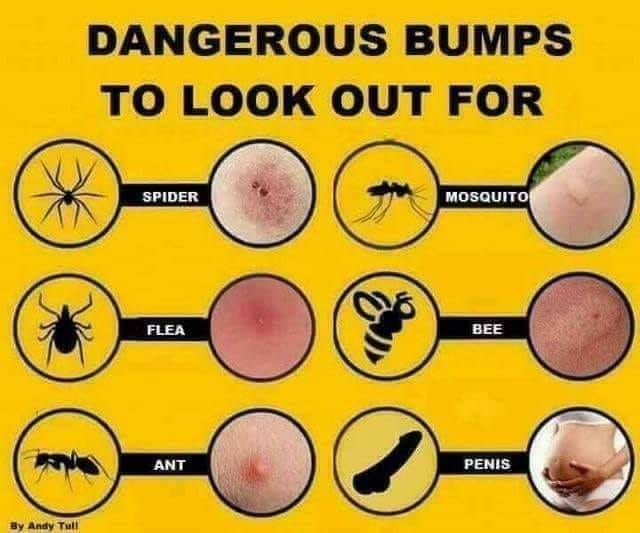 freddie barss tweet media