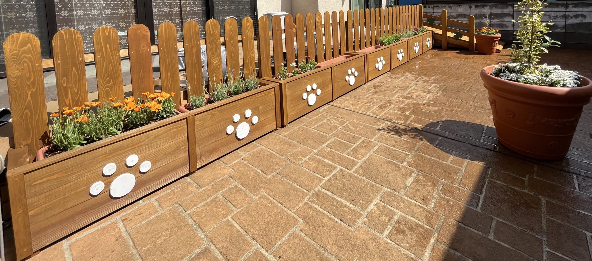 小屋 プレハブ 犬小屋 運動場