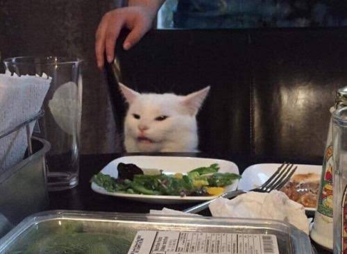 Inbread_Cats's tweet photo. When you realize it’s Monday tomorrow 🥲
Like & RT if you had a good weekend!
#NFTs #NFTCommunity #InbreadCats https://t.co/BKrp2hycyg