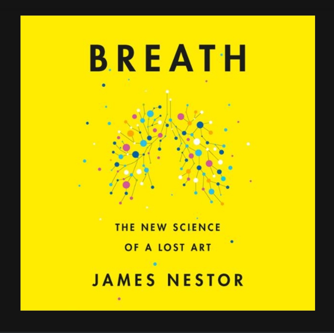 فاطمة الحسين tweet media