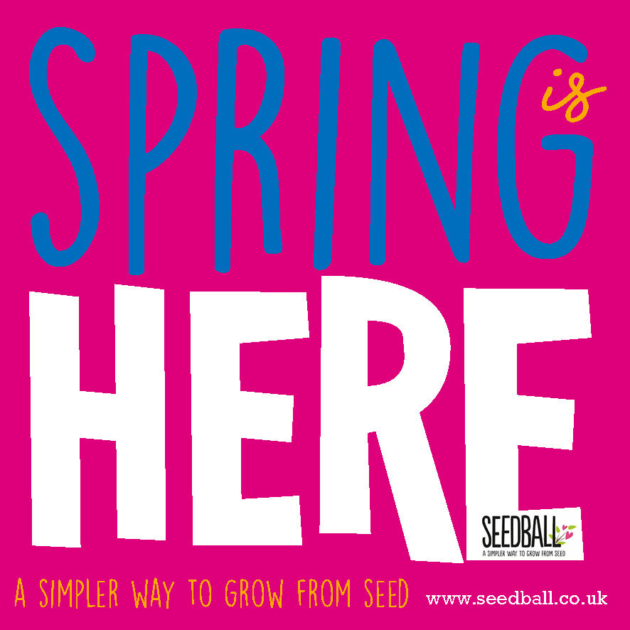 seed_ball's tweet photo. Scatter Now To Really Help Wildlife! 🌸🦋🌸🦋
Seedball make it super easy to grow wildflowers in your space. Choose your flowers, pop a seed ball on top of bare soil or compost and water.  Easy as A B Seedball!
https://t.co/pwcxGJVRjM
#springseeds https://t.co/2d7kCFB4dZ