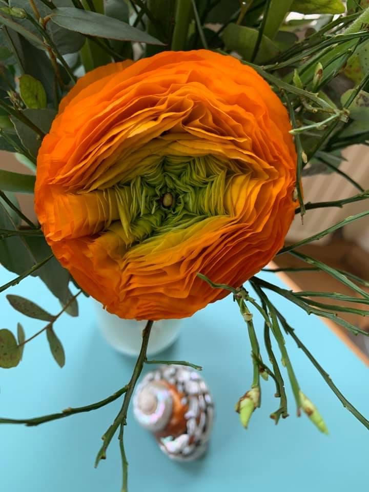 Einen freudigen transformierenden #Frühlingsbeginn wünsche ich! „Glaube nicht alles was Du denkst“. Franz Kafka. Kannst Du gut in eine positive #affirmation für Dich verwandeln: „alles was ich denke kann ich auch ganz anders denken“. Bitte! 

#impuls #frühling #selbstfürsorge