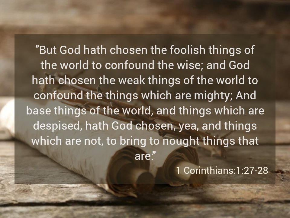 JccKenya's tweet photo. God picks the things that are despised to bring to nullify the things that are mighty
#GreaterWorks2022 https://t.co/Sy6Ygy7qZl
