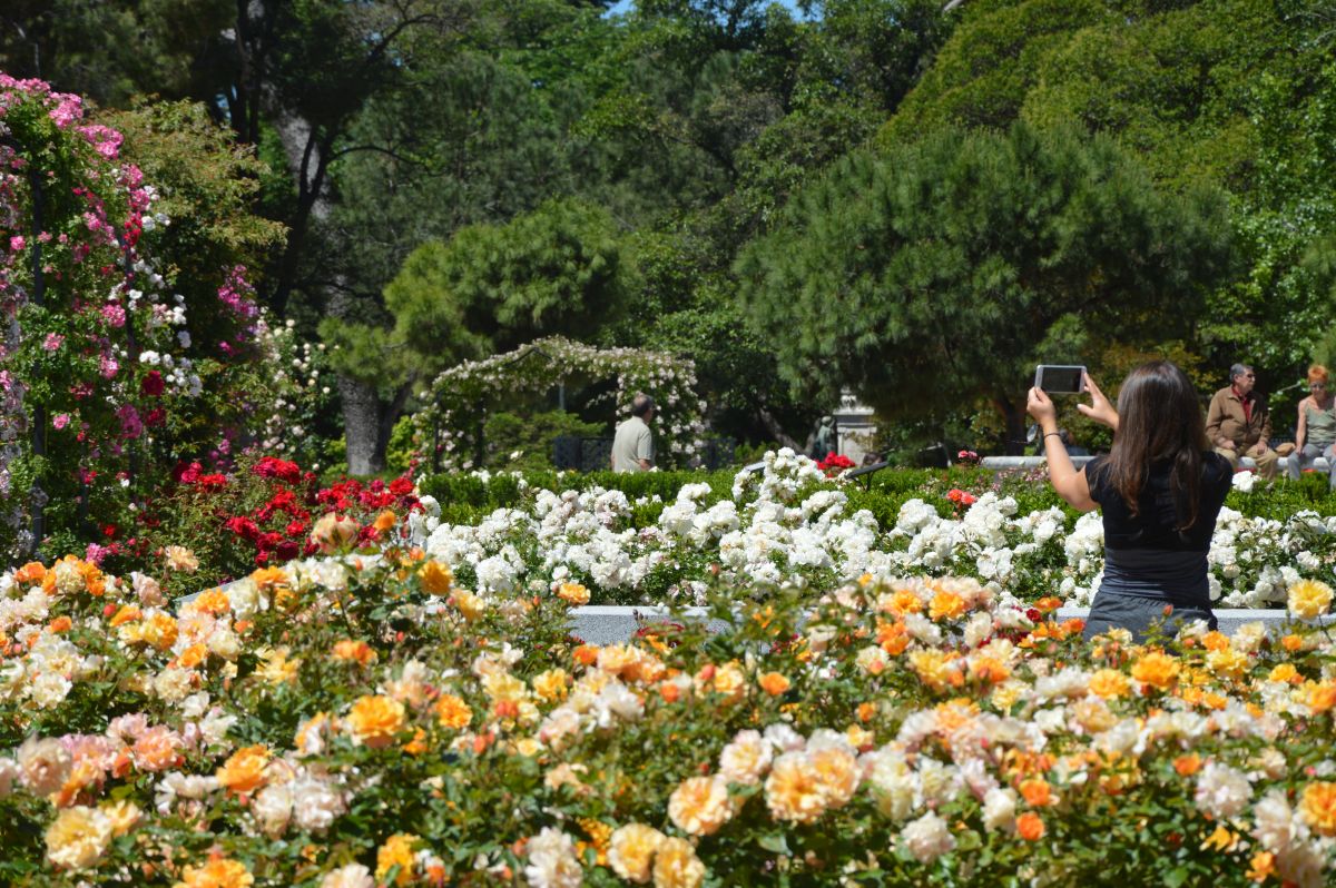 _ElRetiro's tweet photo. ¡Hoy a las 16:33, aunque no lo parezca, comienza la primavera! https://t.co/3XOP0PiHUH