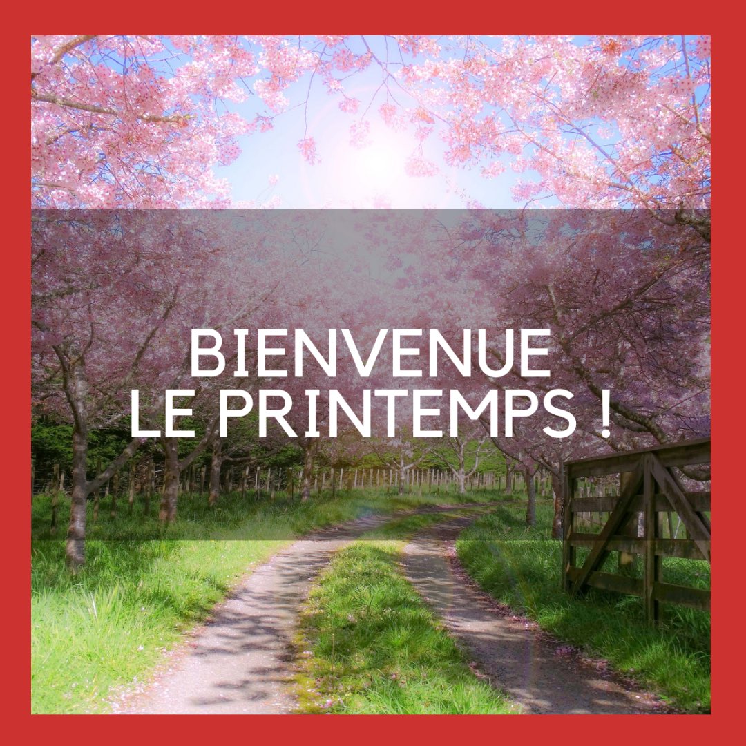 [LE PRINTEMPS] Nous voici enfin au Printemps ! 💕 Synonyme de renouveau, on ne l’a jamais autant attendu ! 🌿 Aimez-vous cette saison ? Que vous inspire-t-elle ? Beau Printemps à tous ! 🌸 #cocreatrices #printemps #spring