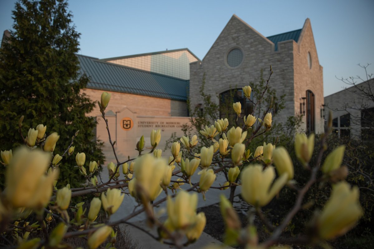 Mizzou's tweet photo. We can't wait to see campus in full bloom 🌸  Happy first day of spring, Tigers! https://t.co/mKLvmBbrRz