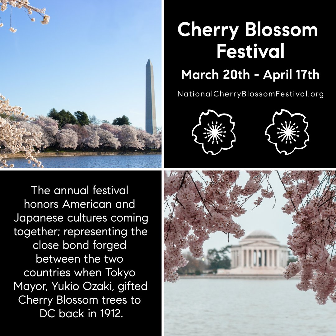 FitzRealtor's tweet image. One of our favorite times of the year is when the Cherry Blossoms Bloom.  Do you have plans to make it to the Cherry Blossom Festival?  #SusanFitzpatrick #JamesFitzpatrick #KevinConley #TheFitzpatrickGroup #CherryBlossoms #DCCherryBlossoms #CherryBlossomFestival