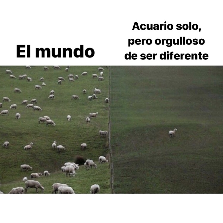 🤣🤣🤣 #acuario #horoscopnegro