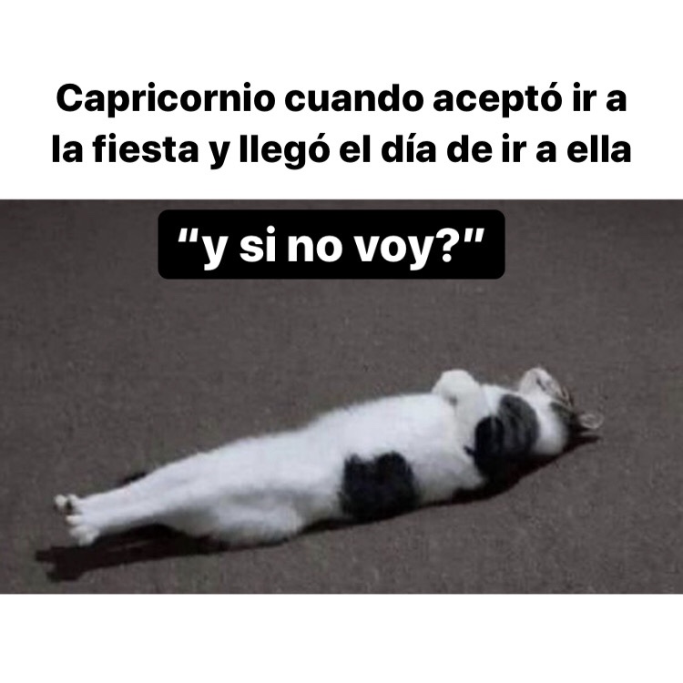 capricornio_hn's tweet photo. 🤣🤣🤣 #capricornio #horoscopnegro https://t.co/Q3jVG0AZOx