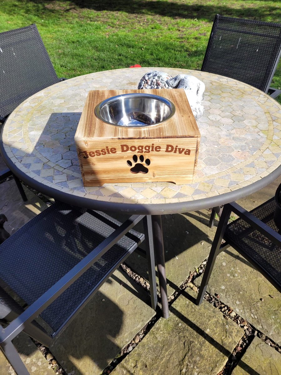 JessieDoggyDiva's tweet photo. Human mummy &amp; daddy have got me a new water bowl.  #dogsoftwitter #dogs #dogslife #DogsAreFamily https://t.co/0CFRsNW9L8