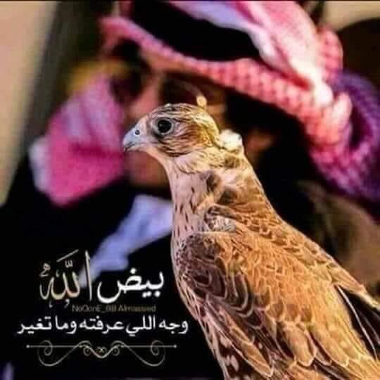 naefalnaef2's tweet photo. خلّك على النّية تجيك التوافيق
     لـو أغـلب قلووب البـشر عـتْمة
    گل شـئ بيد الله مو بيد المخاليق 
        وربّك كريم وكلّ شيء له حكمة https://t.co/0V1D89bOLx