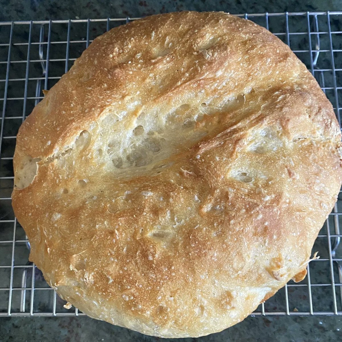 cdlucky13's tweet photo. Today is the International Day of Happiness: It's the day to do what you want to make yourself happy.
#internationaldayofhappiness2022 #readrestrestore #littlepocketsofjoy😊 #newbooks 📚#newmuisc #sundaybakes🍞 #awalkadayandbeautyalongtheway💚 #sundayvibes #firstdayofspring🌻 https://t.co/rsSmTVLM3A