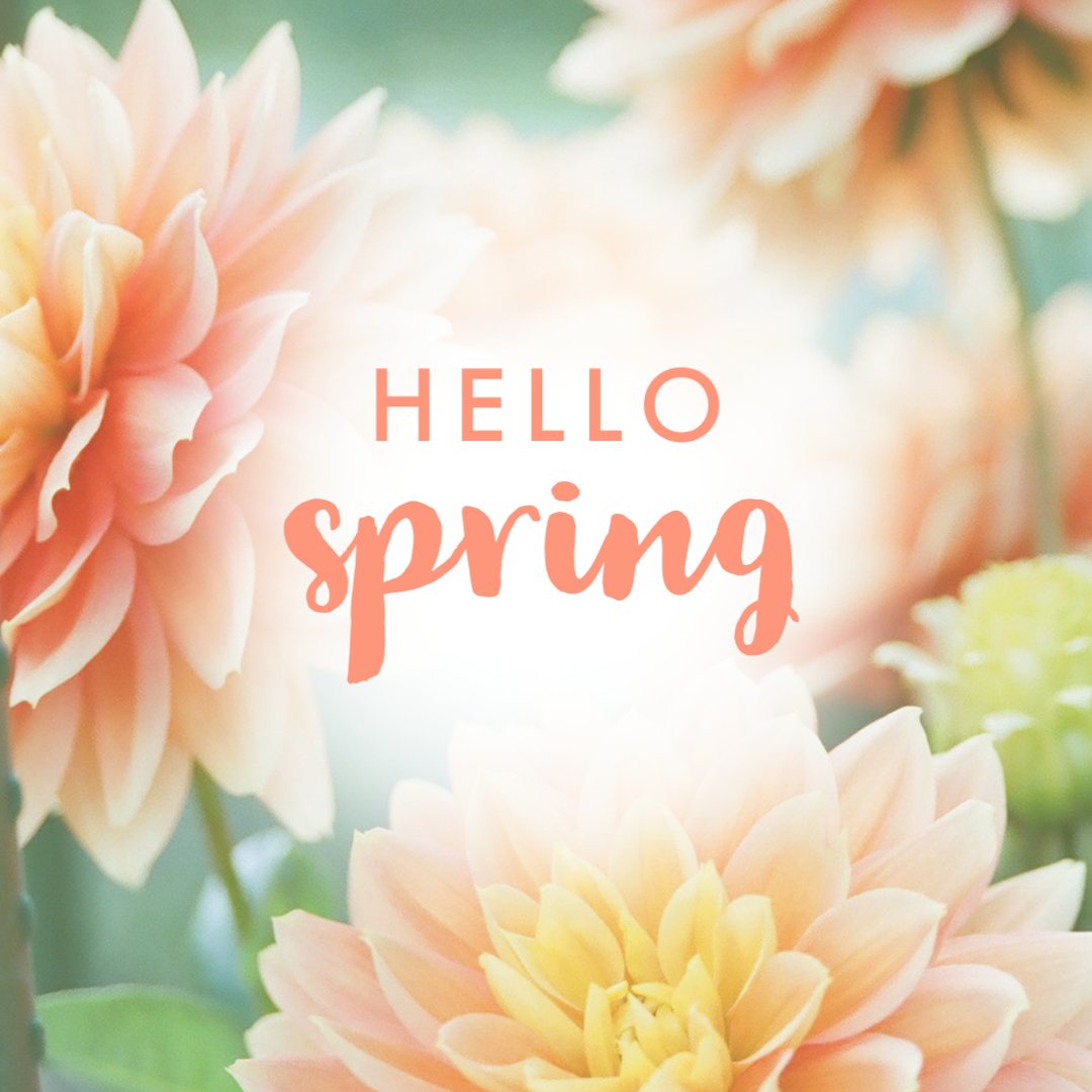 EpiHQ's tweet photo. Spring is here to make our days better, brighter, and warmer! Happy Spring to you! 

#executiveprotectioninstitute #weputtheproinprotection #epi https://t.co/1QQWgv6S3u
