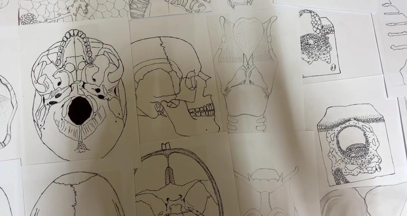 slykoko's tweet image. We, at @Study_Pot, are working on Ghana&apos;s first Medical Atlas.

RT/like till we reach our sponsors.