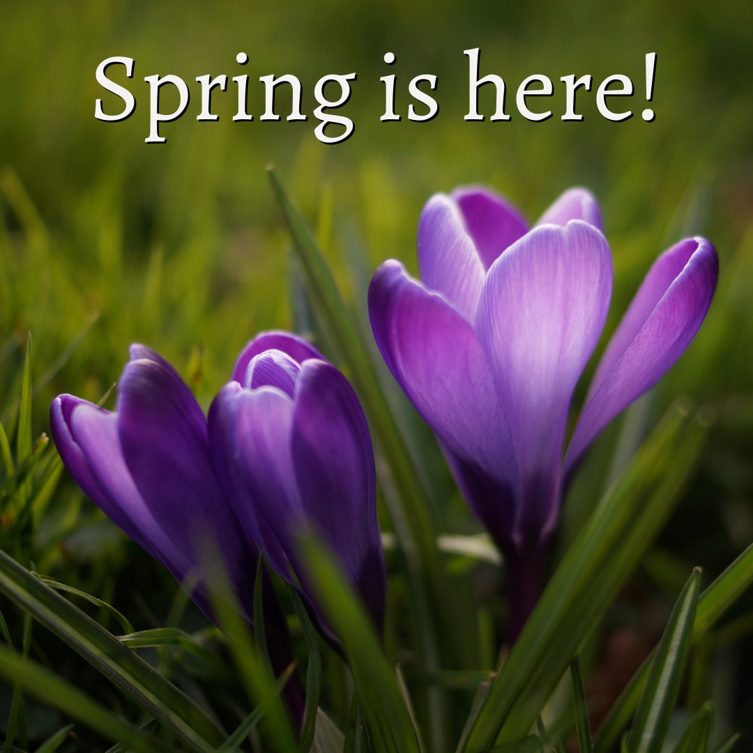 Happy first day of Spring to all my friends in the Northern Hemisphere! Spring is a wonderful reminder of the beauty of change, hope, and promise. Remember to spring clean your finances &amp; cancel any subscription you no longer use or value! #hellospring #spring2022 #springishere