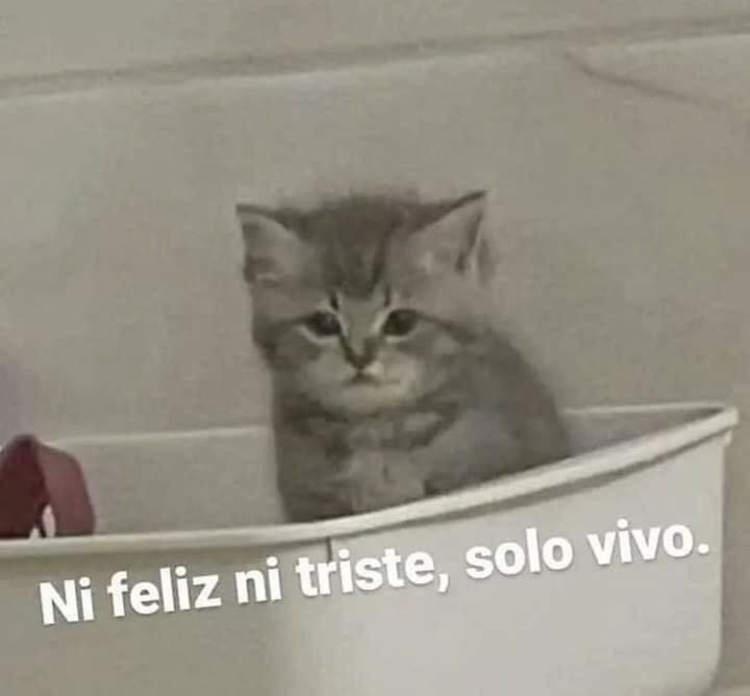 Guarromantico_'s tweet photo. https://t.co/lDdDouzpBD