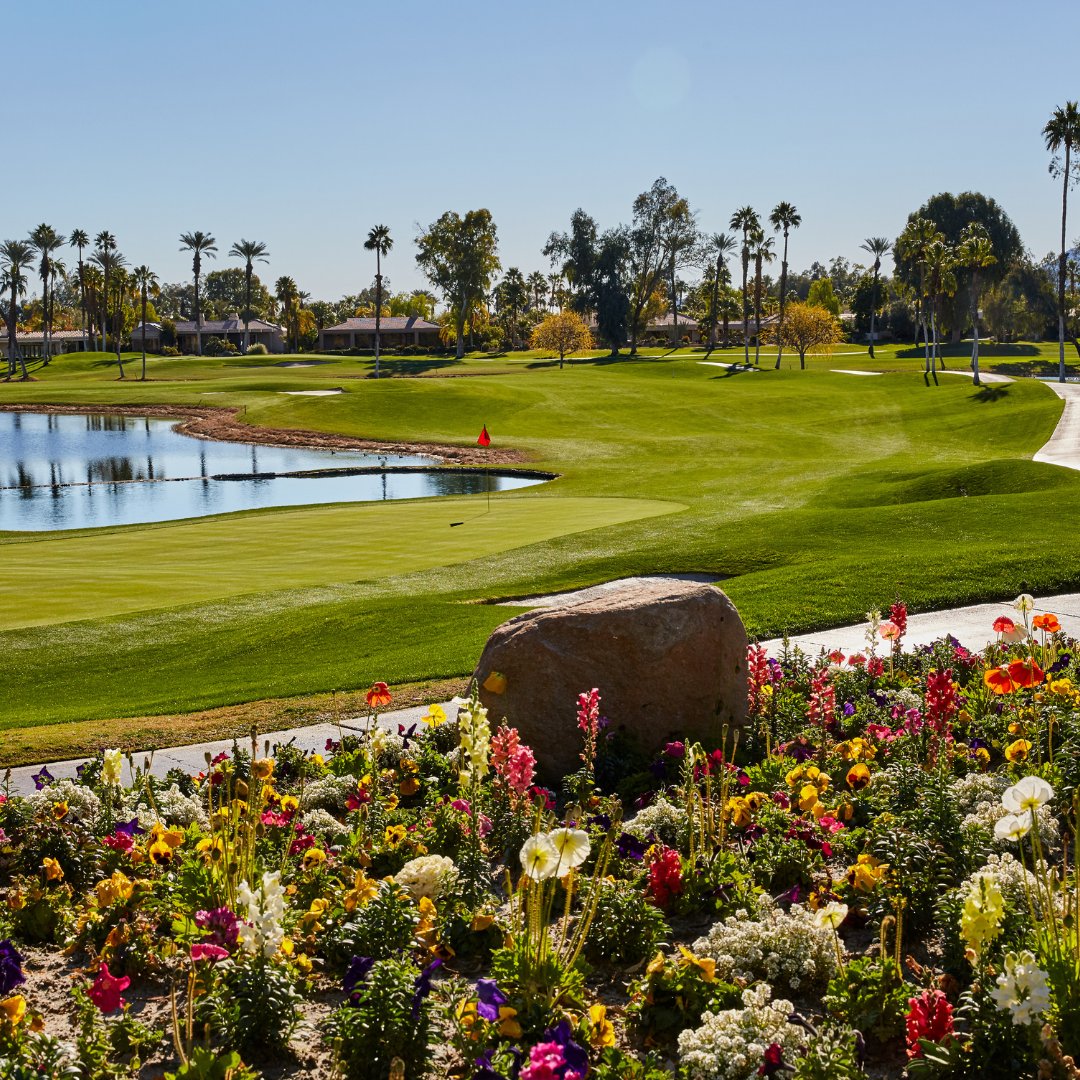 Happy First day of Spring! 🌸 

Here's to warmer days and more sunshine,  ideal weather for golf 👌