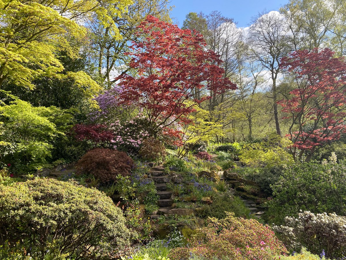 Happy first day of spring! 

We love seeing all of the spring colour in the garden and can't wait to see what spring has in store for us this year!