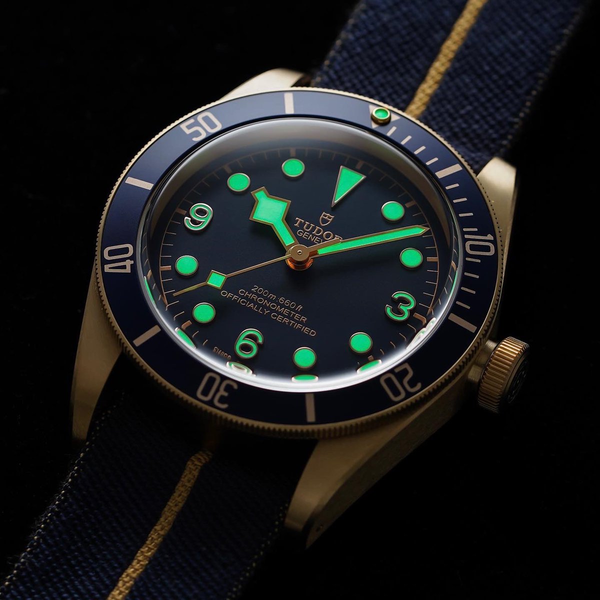 baldassarreted's tweet photo. Tudor Black Bay Bronze Bucherer Blue. https://t.co/MH6Ch80sYh