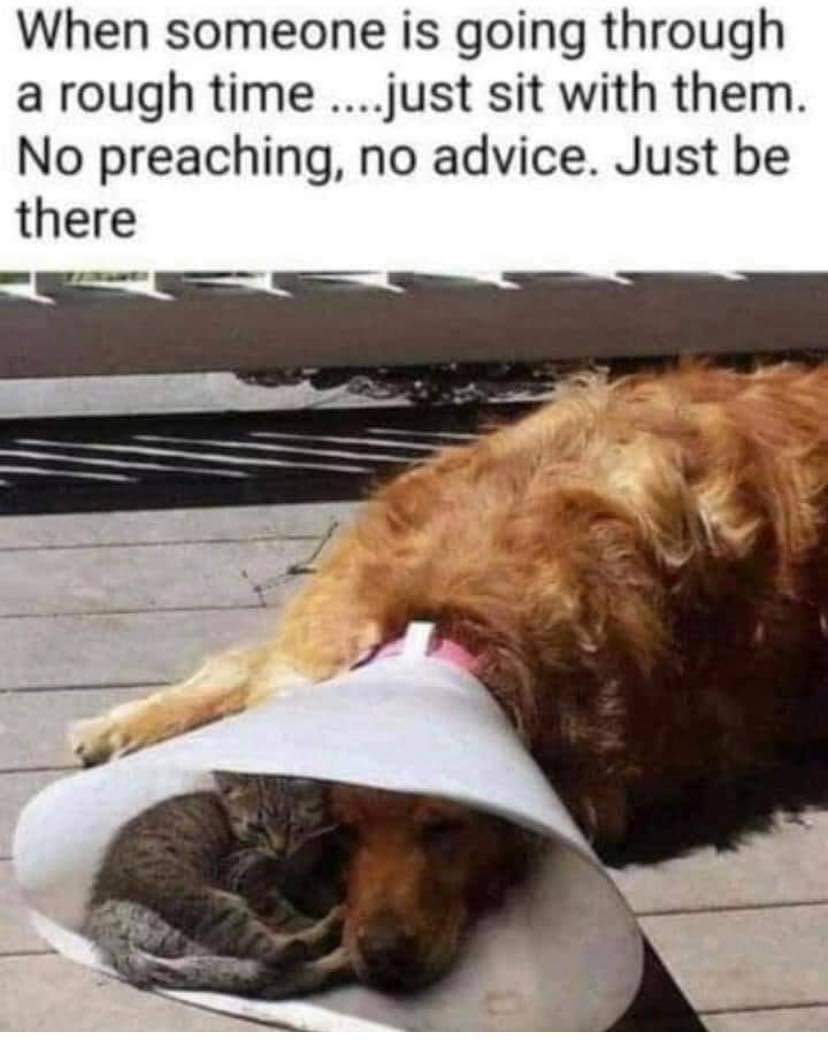 teachergoals's tweet photo. Love this. 🧡 https://t.co/UAXY3FafLA