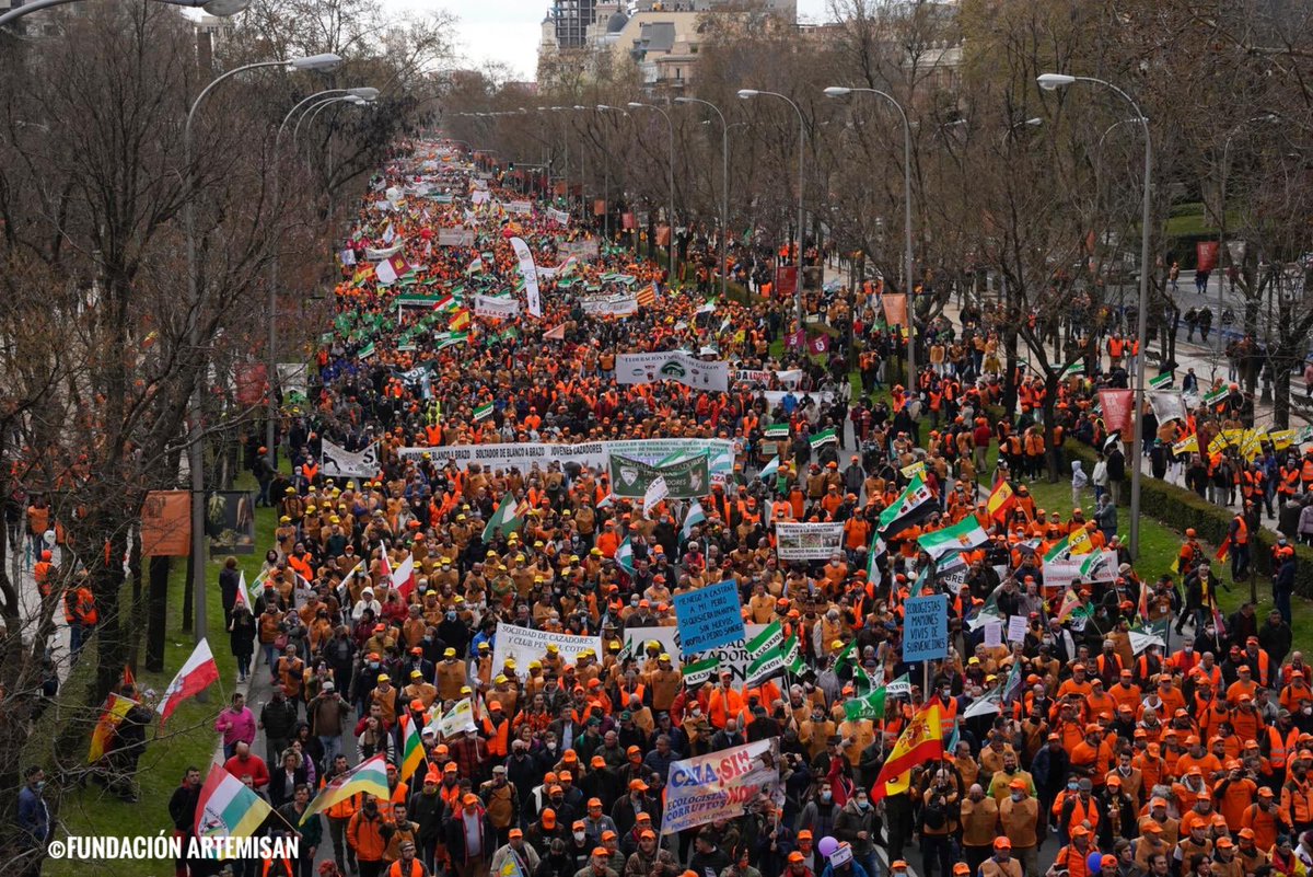 ftorodelidia's tweet photo. ⁉️ ¿Alguna vez has escuchado eso de que en España la gran mayoría está en contra de la ganadería, la caza y la tauromaquia? 

Te querían contar la historia al revés.

Y esto es solo el principio.

#20MRural
#TauromaquiaConEl20MRural 
#JuntosPorElCampo https://t.co/IFF9lJcO5h