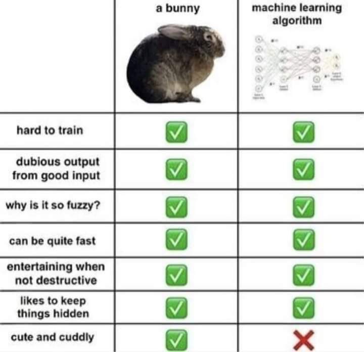 felipecocco's tweet image. #ethicalCS