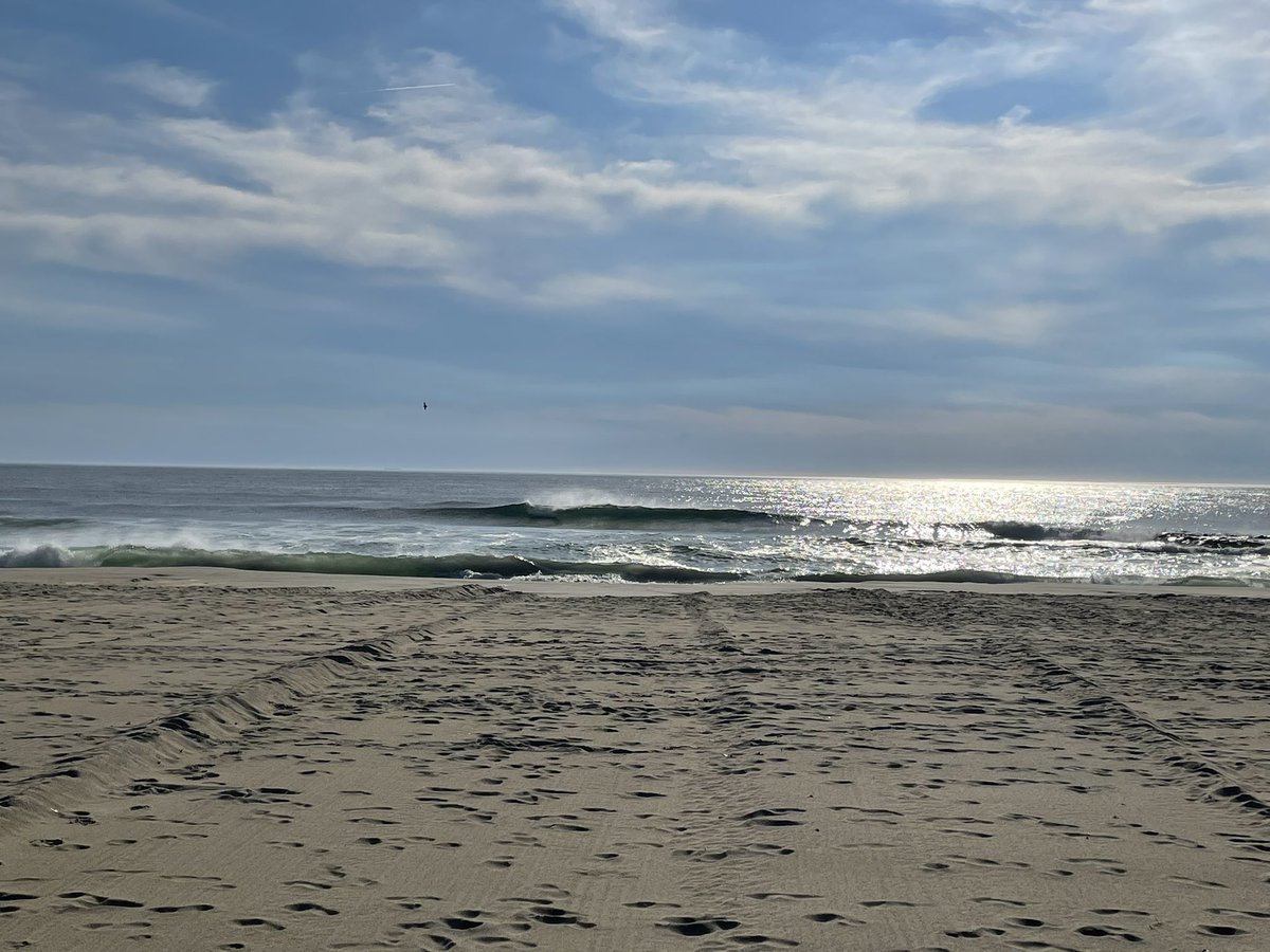 C Douglas Phillips 🇺🇸 tweet media