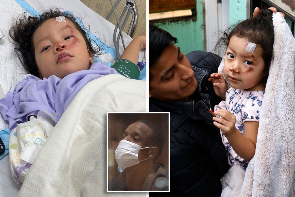 nypost's tweet photo. Alleged NYC toddler attacker was freed after previous unprovoked assault on a child https://t.co/NCFfPZfnJZ https://t.co/9pvxWR1gwH