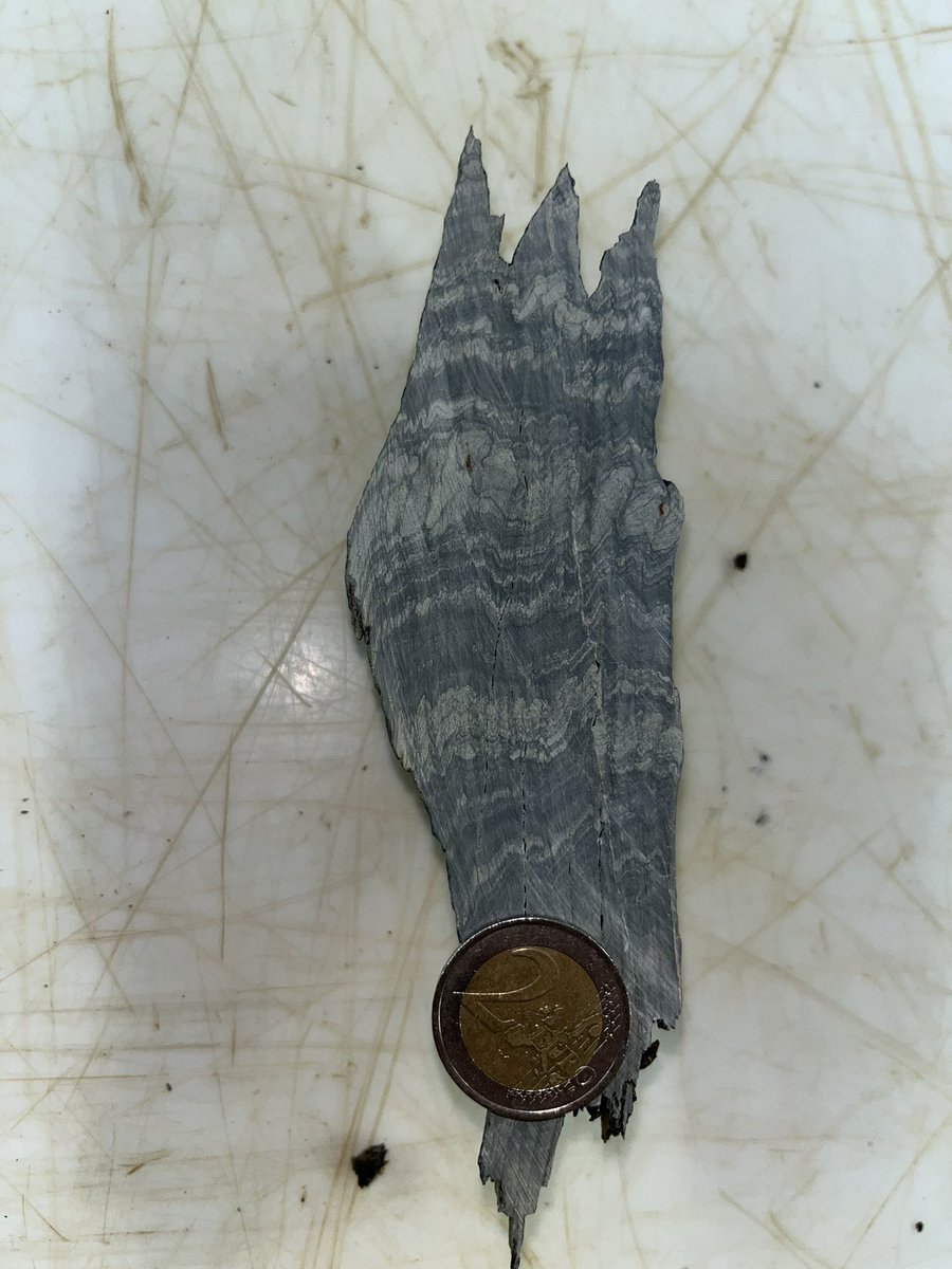 SedGeology_RG's tweet photo. Small cleavage-related folds in Cambrian-Ordovician pelites from the Pyrenees. Stay tunned for the thin sections that are under preparation!
#structuralsunday #geology #geoscience https://t.co/563Gs6Cd4X