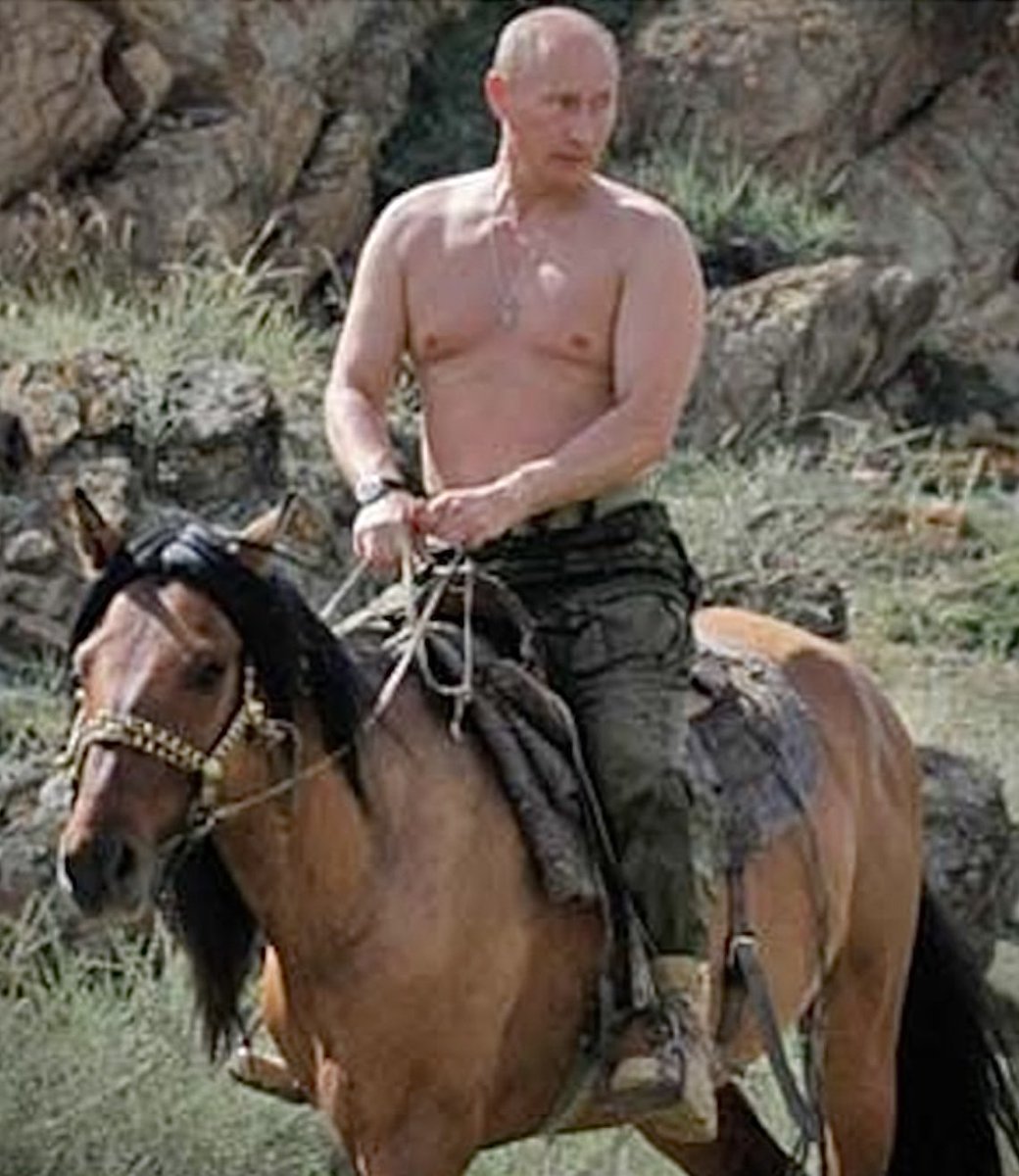 SoVeryUkrainian's tweet photo. When you realise you’ve bought the bootleg version of Brokeback Mountain…
. https://t.co/qAeHQLliCp