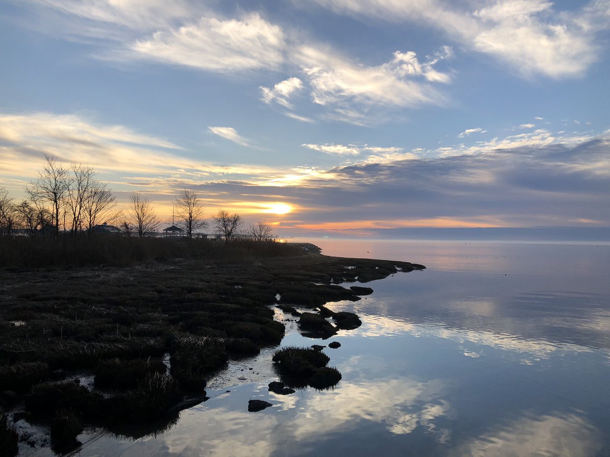 KathyLaBella_RD's tweet photo. Gorgeous morning run in nature, &amp; learning to run with sciatica with therapeutic exercises before &amp; after run with heat, &amp; proper nutrition to fuel my body. 😊 🏃‍♀️ #fitness #nutrition #kathylabellardn #peakperformancerd #nutritionformusicians #running #ctshore #runningwithsciatica https://t.co/l6LFGxXeCs